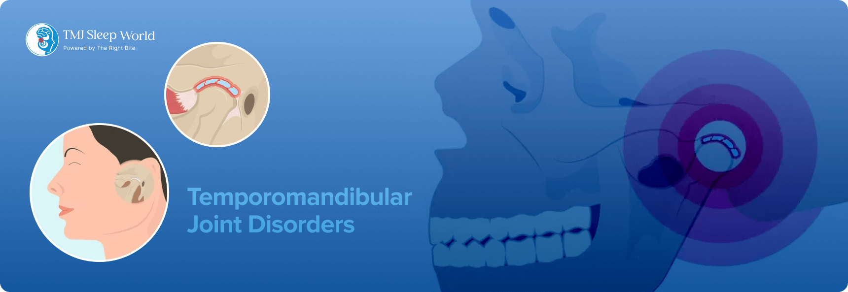 temporomandibular joint